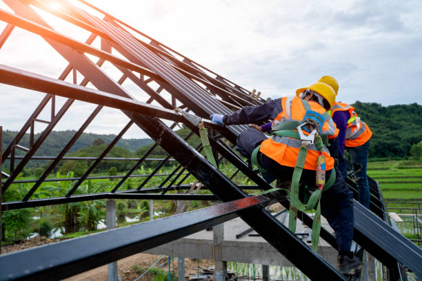 Best Best Roofing Contractors  in Columbus, MN