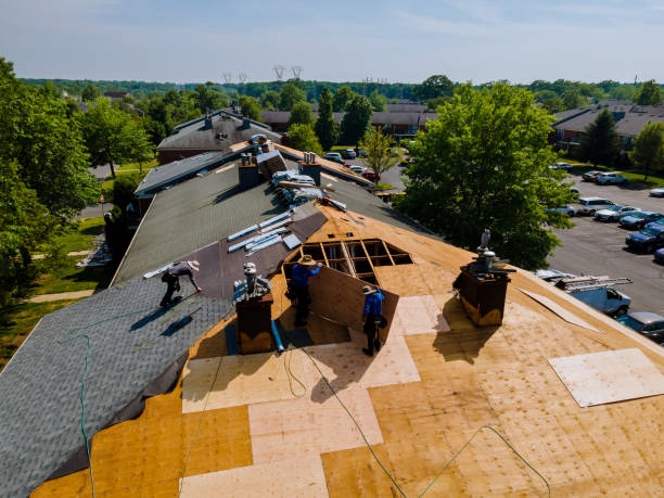 Best Commercial Roofing Services  in Columbus, MN