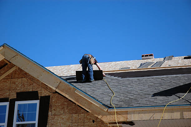 Best Flat Roof Repair Services  in Columbus, MN