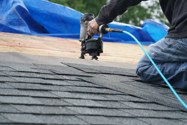 Best Metal Roofing Contractor  in Columbus, MN