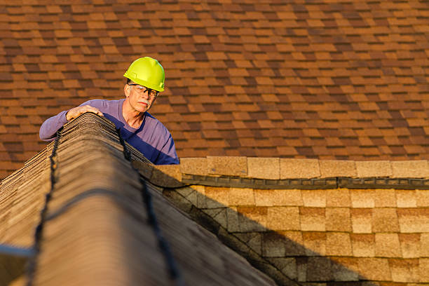 Best Roof Gutter Cleaning  in Columbus, MN